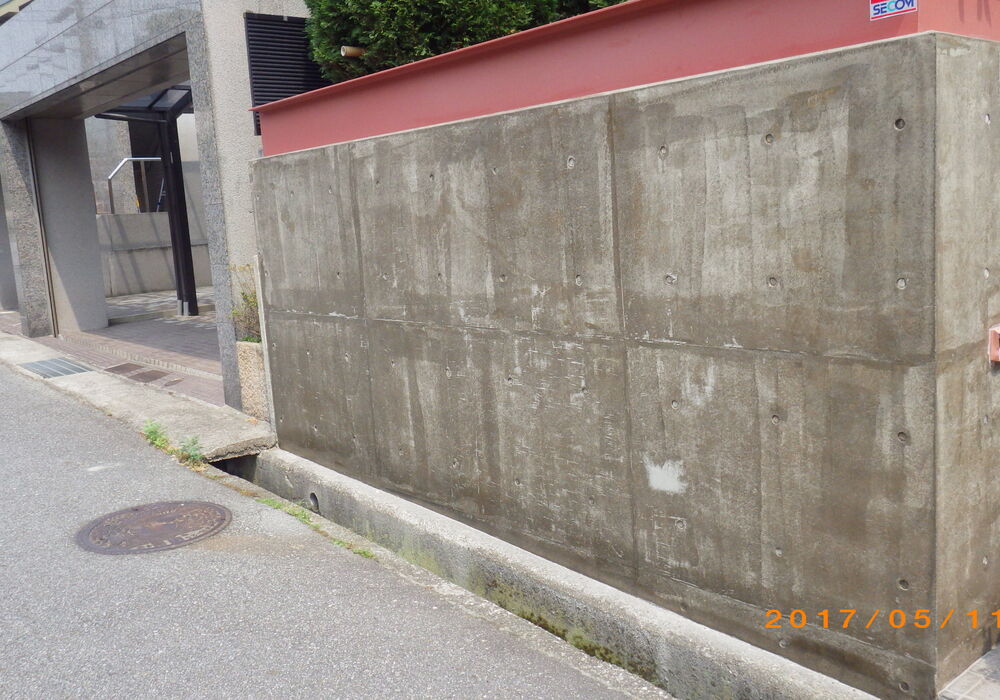 IMGP4599
