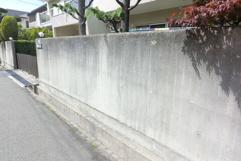 CIMG1209