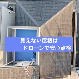CALQ3272[1]